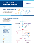 Complement System Fact Sheet